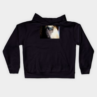 Equidae#4 Kids Hoodie